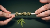 Le succès fou des cannabis clubs maltais : ils sont complets en un mois