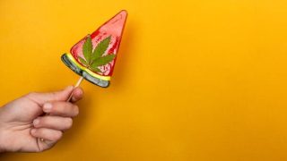 Où acheter les meilleures sucettes CBD en mai 2025 ?