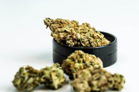 Suisse 4,5kg de cannabis légal vendu en 1 mois