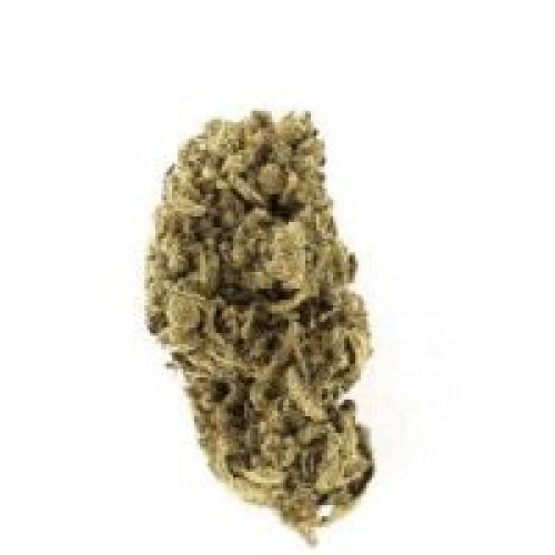 Avis sur la fleur Cheese