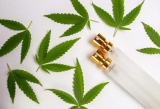 A quoi servent les terpènes dans vos produits au CBD ?