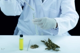 Comment vérifier la qualité d’une huile de CBD à l’aide du certificat d’analyses ?